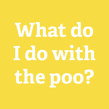 Cloth nappies, what do I do with the poo?