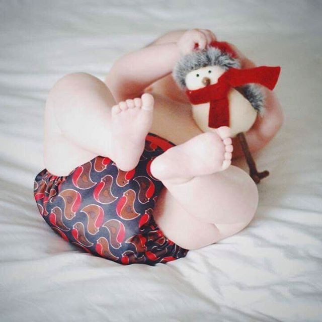 totsbots robin cloth nappy